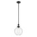 Pendant Medium 1Lt (10687|52778BKCLR)