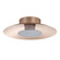 Yep by Golden Lighting Luma Integrated LED Flush Mount in French Gold and Graphite shade (36|6400-FM12 FRG-GRA)