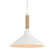 Golden Lighting Journey 1-light Pendant in Natural White (36|3318-M NWT)