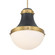 Purelight 16.25'' 1-Light Pendant (10|3934-876)