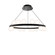 CAROUSEL 28IN PENDANT 4CCT 3000K (16|PD-21528-30-BK)