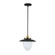 Dahlia 1 Light Pendant 15'', Black (12|AC11905BB)