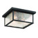 Outdoor Flush Mount (12|AC9276BK)