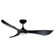 Keanu-Outdoor Ceiling Fan (19|88755WTBK)