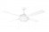 Quattro-Indoor Ceiling Fan (19|88794MW)