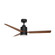 Falcon-Indoor Ceiling Fan (19|88708BKWN)