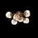 Luna Flush Starburst (1289|CLB0095-02-NB-FA-L1)