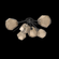 Gem Flush Starburst (1289|CLB0039-02-MB-B-L1)