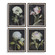 Uttermost Florals On Black Framed Prints Set/4 (85|32426)