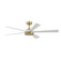 TorchAire 64 inch Indoor/Outdoor Ceiling Fan with LED CCT Select Light Kit (90|FPD8564BS)