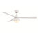 Paget 52 inch Indoor/Outdoor Ceiling Fan with LED Light Kit - Matte White with Matte White blades (90|FP6837MW)