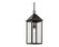 Outdoor Pendant 1Lt (10687|59160OZ)