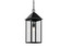 Outdoor Pendant 1Lt (10687|59160BK)