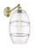 Vaz - 1 Light - 10 inch - Antique Brass - Adjustable - Sconce (3442|317-1W-AB-G557-10CL)