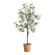 Uttermost Olea Potted Olive Tree (85|60241)