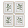 Uttermost Fiddle Head Leaf Botanical Prints Set/4 (85|32454)