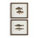 Uttermost The Catch Framed Fish Prints Set/2 (85|32448)
