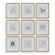Uttermost Nature's Script Framed Botanical Prints Set/9 (85|32449)