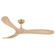 Swell 60'' Smart Fan (87|903860FHB-NDD)