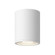 Nordic 6-in (5-in Dia.) White LED Exterior Ceiling (461|EC265106-WH)