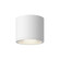 Nordic 4-in (5-in Dia.) White Dimmable LED Exterior Ceiling Cylinder Light (461|EC265104-WH)