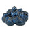 Sulawasi Blue Shells (92|1200-1046)