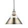 Yep by Golden Lighting Orwell 1-light 10in Pendant in Aged Brass (36|3306-M AB-AB)