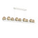 Cabochon Linear - Large (1289|PLB0093-0C-WI-B-CA1-L3-TR)