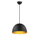 Tova-Single Pendant (19|11484BKGLD)