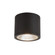 Nordic 4-in (5-in Dia.) Black Dimmable LED Exterior Ceiling Cylinder Light (461|EC265104-BK)