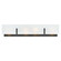 Medium Four Light Vanity (1118101|85644BK)