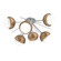 Cabochon Flush Starburst (1289|CLB0093-02-CS-WL-L3-NB)
