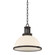Pinesbridge Pendant (57|9315-DB)