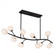 Walker Island Chandelier (26|WALK1048MBK)