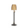 SPENCER TABLE LAMP (13711|2234-79)