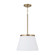 1 Light Pendant (42|361011AD)
