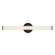 Tectra 24-in Black Damp-Rated Dimmable LED Wall/Vanity Light (461|WS24-044A-BK)