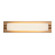 Charleston 19-in Vintage Brass Damp-Rated Dimmable LED Bathroom Vanity Light (461|VL7518-VB)