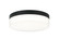 FELICITY Flush Mounts (3605|M21111MB)