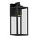 Outdoor Wall Small (10687|59111BKTDS)
