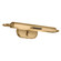 Caillier Picture Light 2Lt (10687|52818LBR)