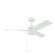 52 Inch Spyn Lite Fan (10687|300375MWH)