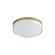 Edge-Flush Mount (19|59762CLFTNAB)