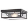 VAXCEL Clinton 12 in. W 2-Light Matte Black Transitional Outdoor Flush Mount Ceiling Light with Clea (51|T0809)