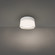TUCK 5IN SAUNA FLUSH MOUNT 3000K (3612|FMW254605S-WT)