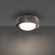 Tane Flush Mount Light (3612|FM224613-BV/BK)