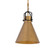 Fenric 13.75'' 1-Light Pendant (10|13105-855)