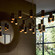 Loryn Chandelier (314|DLC55)