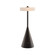 Eos Rechargeable Accent Lamp (314|PAC06)