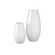 Yancy Vases, Set of 2 (314|AVC09)